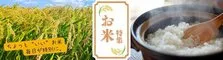 安心できるちょっと良いお米特集！品質と美味しさにこだわったお米をお届け。